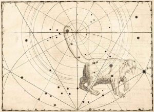 LES MÉTAMORPHOSES DU DRAGON. Ursa Minor par Johann Bayer dans Uranometria, 1603.