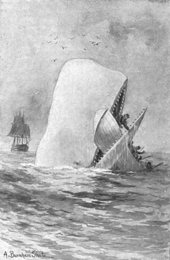 Lire la suite à propos de l’article MOBY-DICK